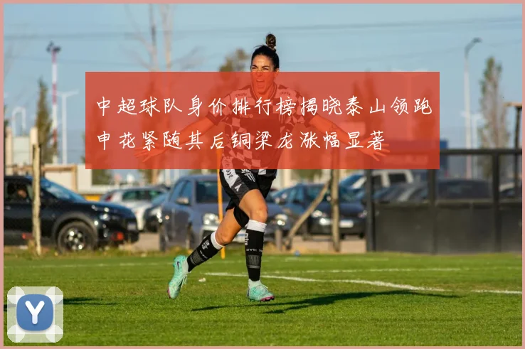 中超球队身价排行榜揭晓泰山领跑申花紧随其后铜梁龙涨幅显著